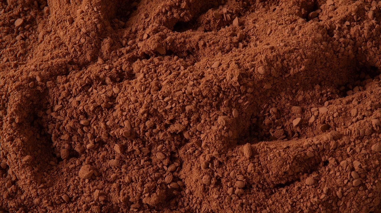 Milk chocolate pralines with whole hazelnuts on top.